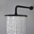Shower Head with Arm